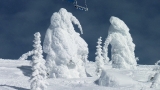 Snowghosts near summit